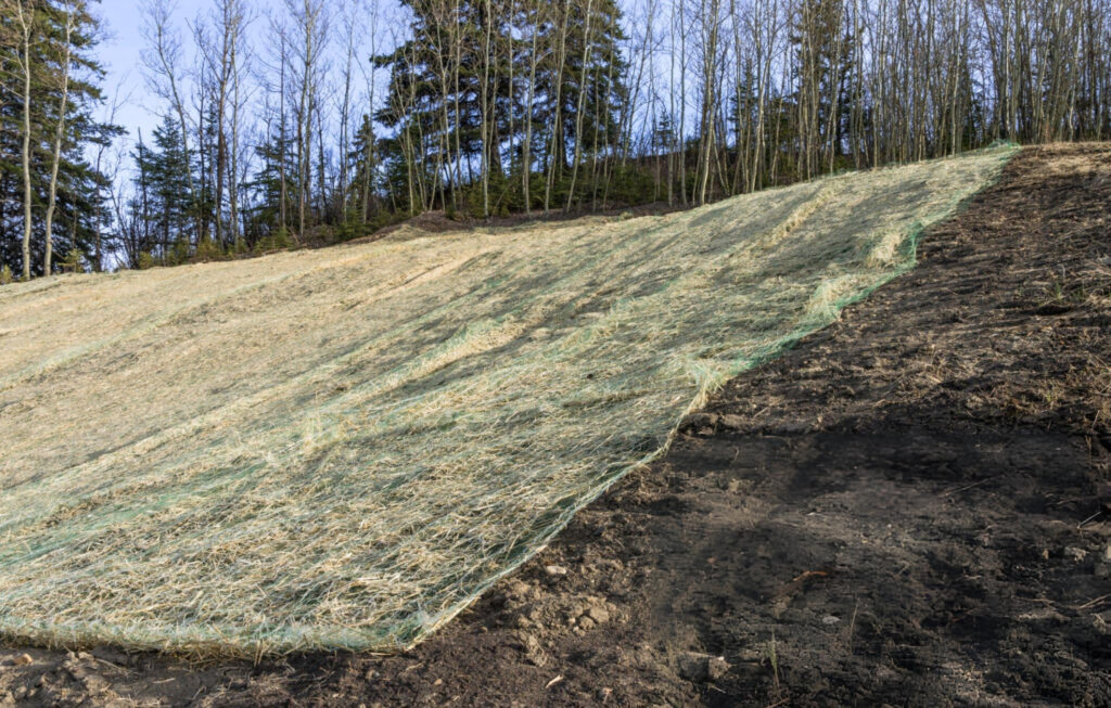 Soil Stabilization ()